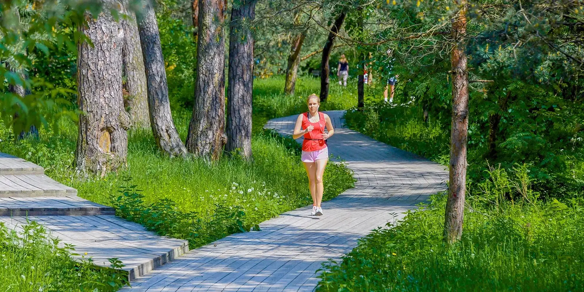 Где бегать в Москве: лучшие набережные, леса и парки